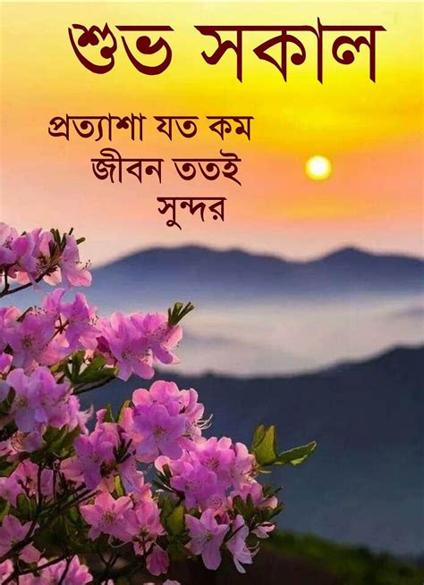 good morning quotes in bengali|690 Bengali good morning wishes ideas in 2024 .